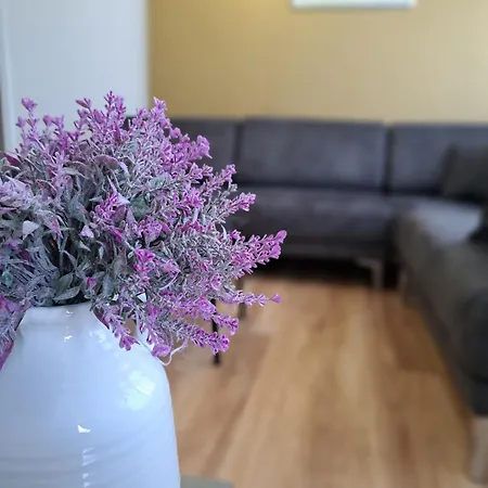 Apartamento Pazari Luxury *